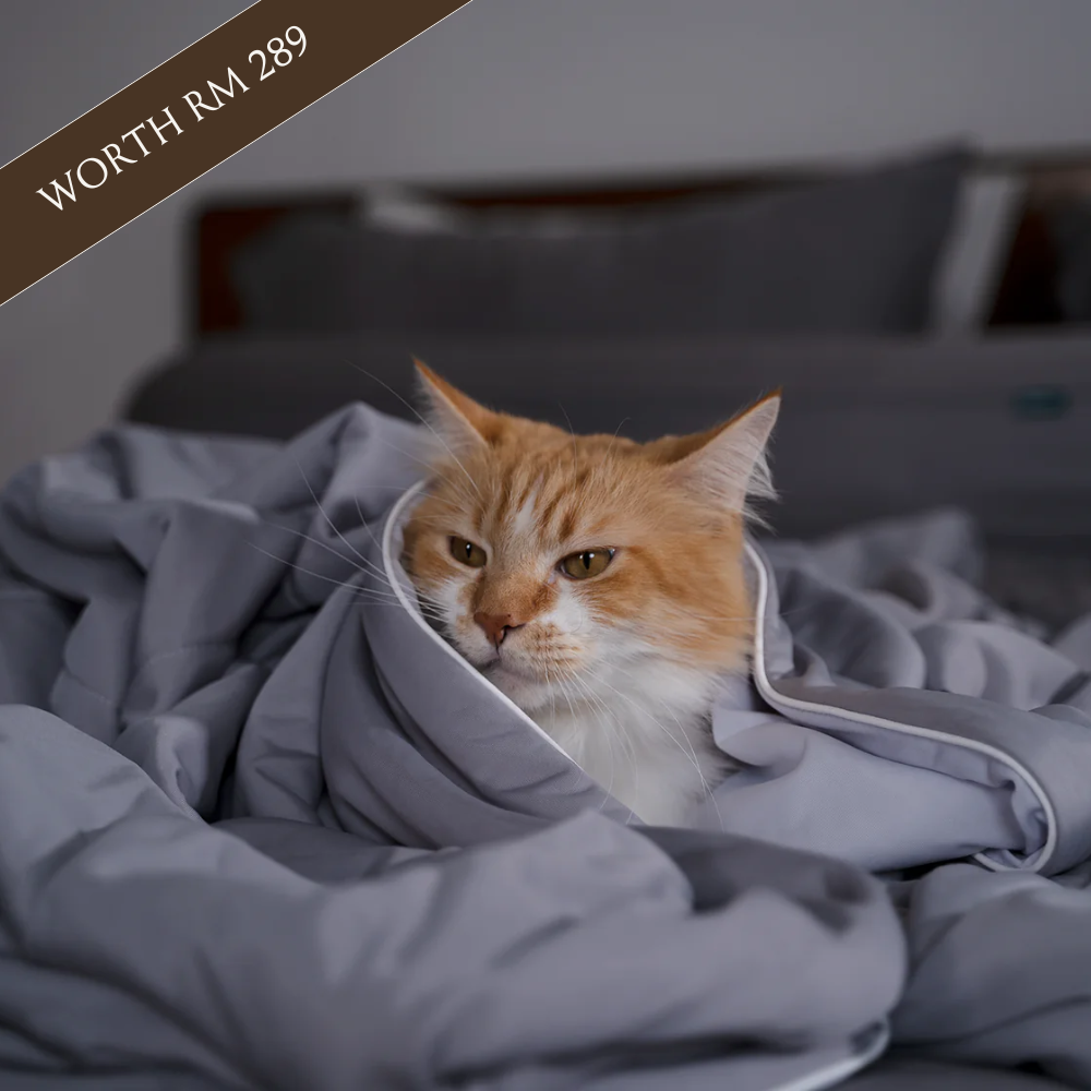 Anniversary Special Flash Sale | ArcticICE™ Cooling Blanket