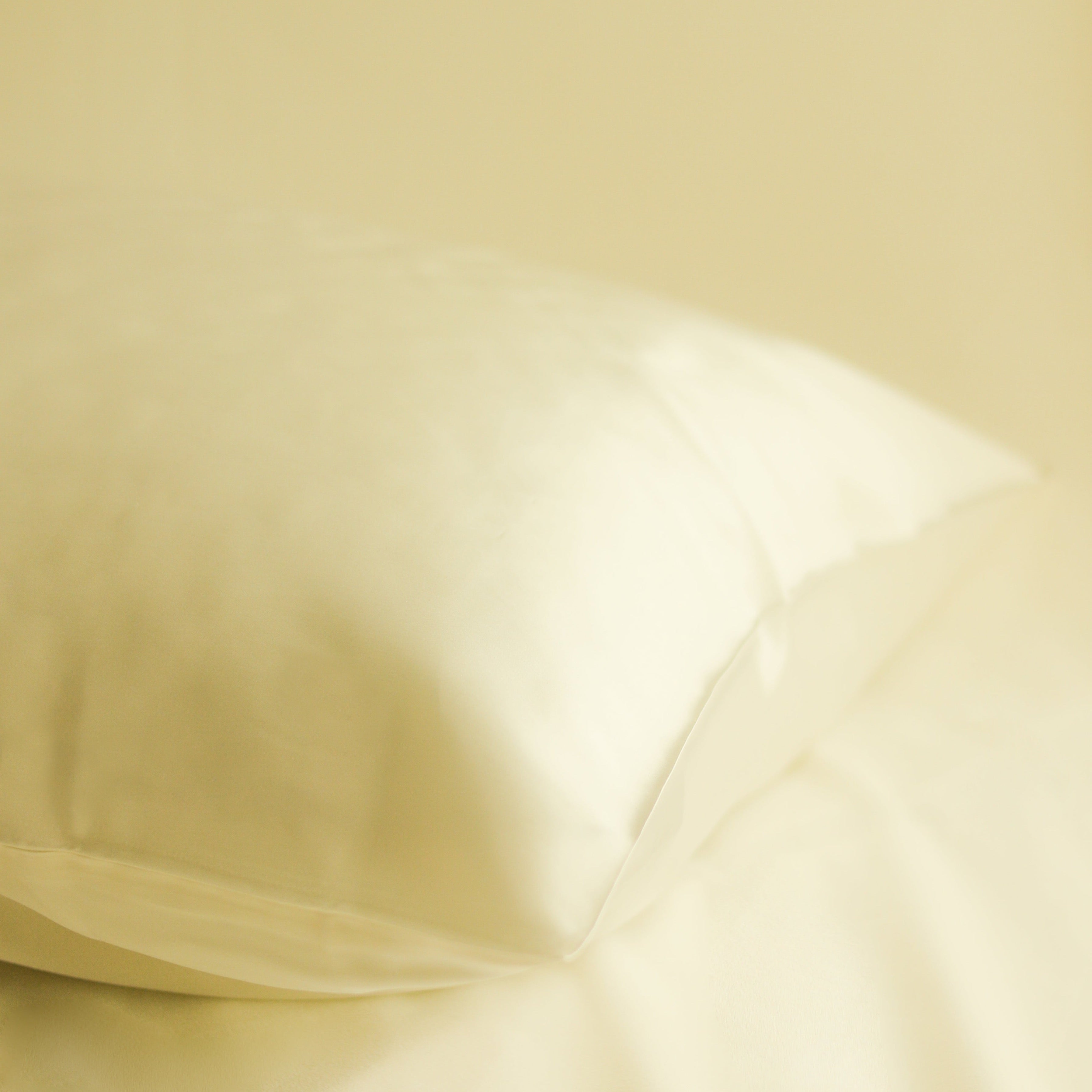 Mulberry Silk™ Pillowcase